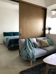 V On Shenton (D1), Apartment #428232651